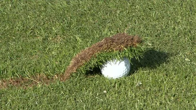 The dreaded chili dip golf shot