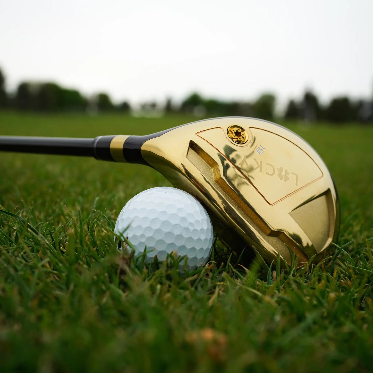 Lucky Golf LGH01