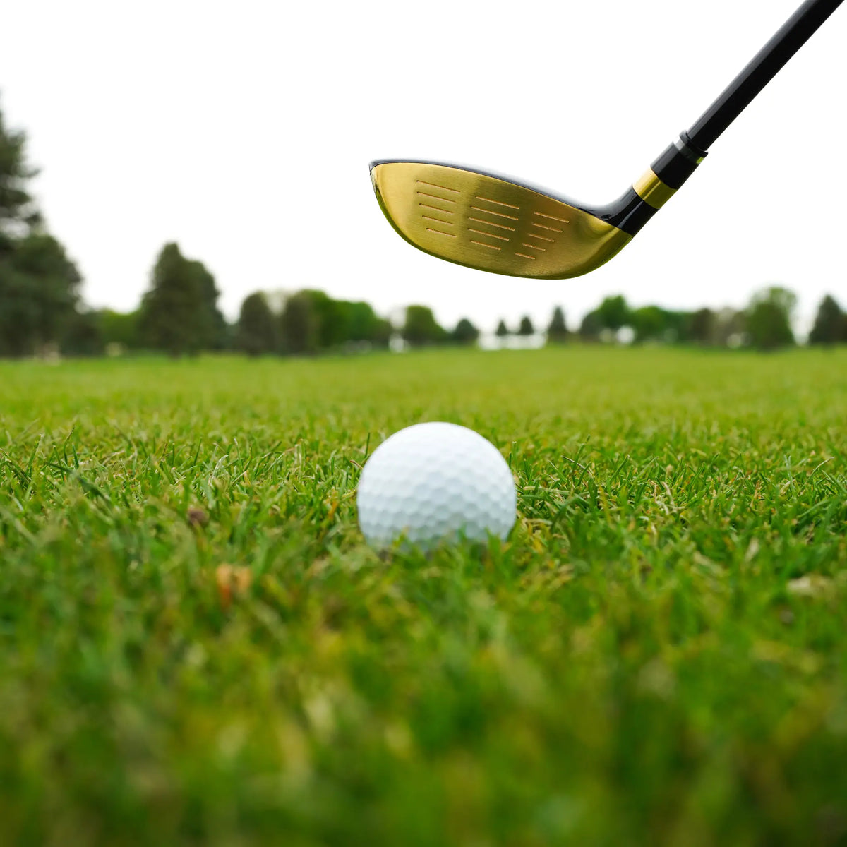 Lucky Golf LGH01