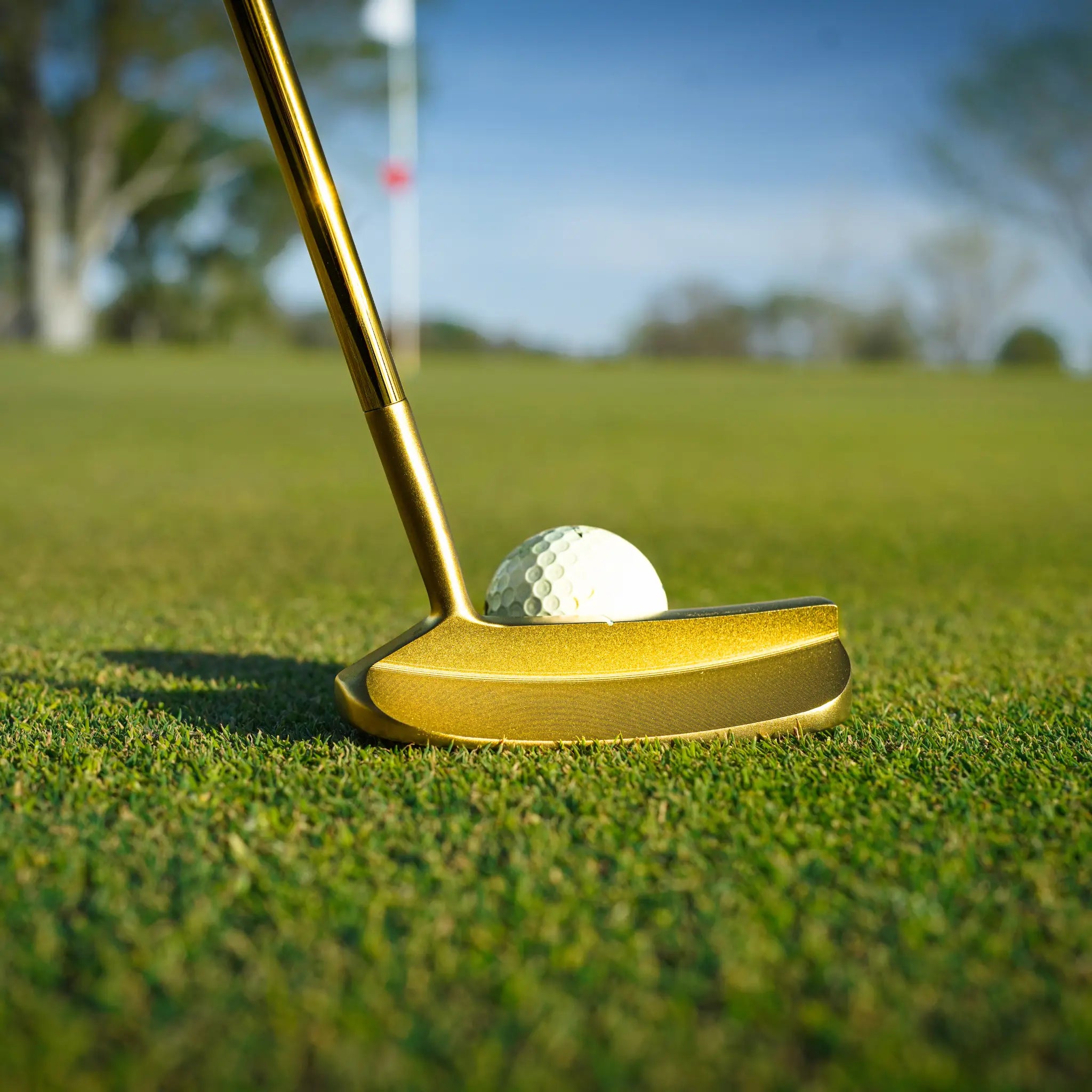 Lucky Golf LGP01 Gold